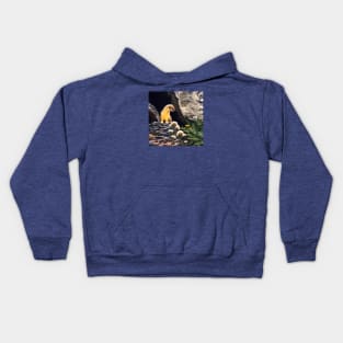 Springtime for Weasel Kids Hoodie